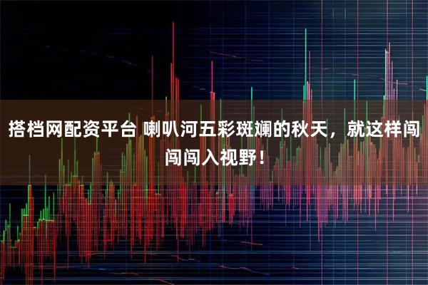 搭档网配资平台 喇叭河五彩斑斓的秋天，就这样闯闯闯入视野！